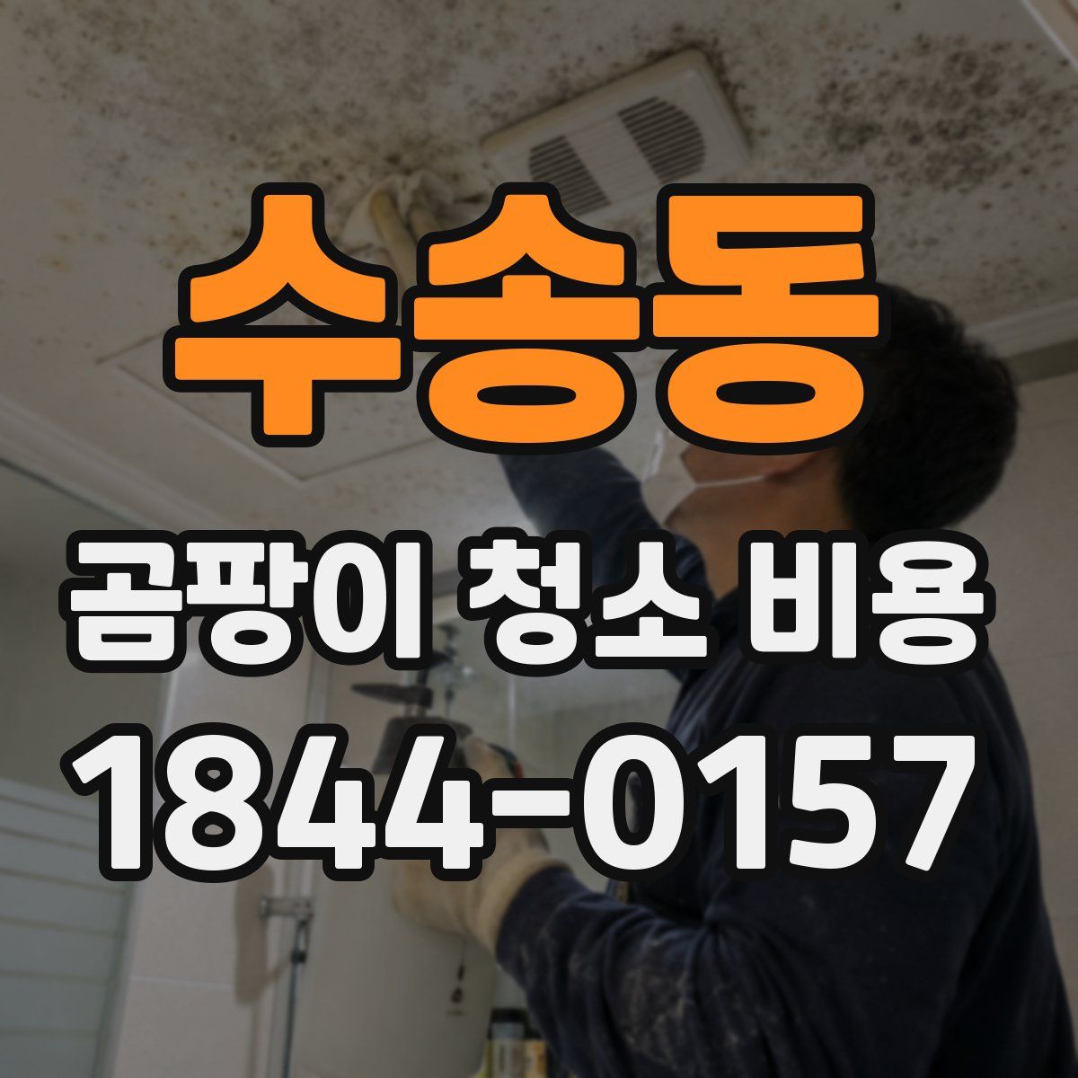 수송동 곰팡이 청소 비용