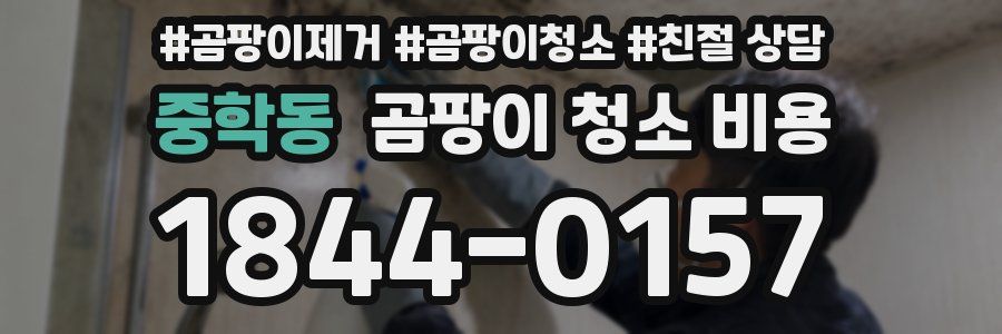 중학동 곰팡이 청소 비용