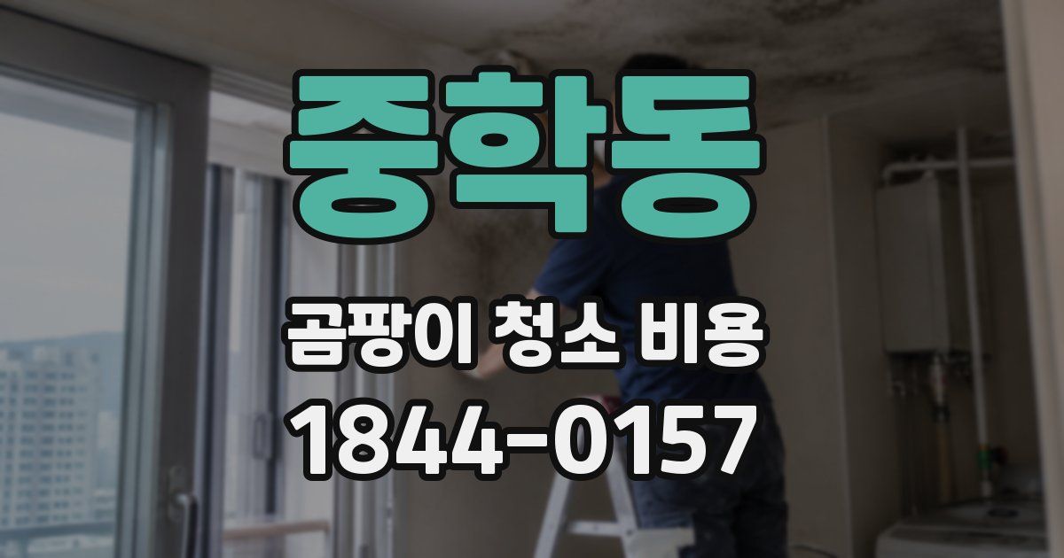 중학동 곰팡이 청소 비용