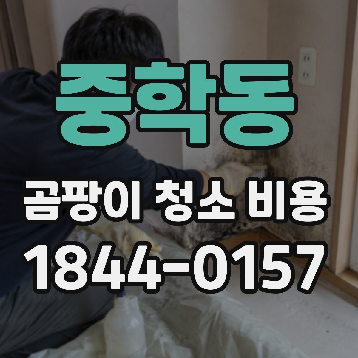 중학동 곰팡이 청소 비용