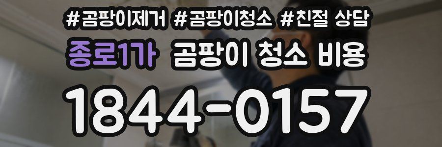 종로1가 곰팡이 청소 비용