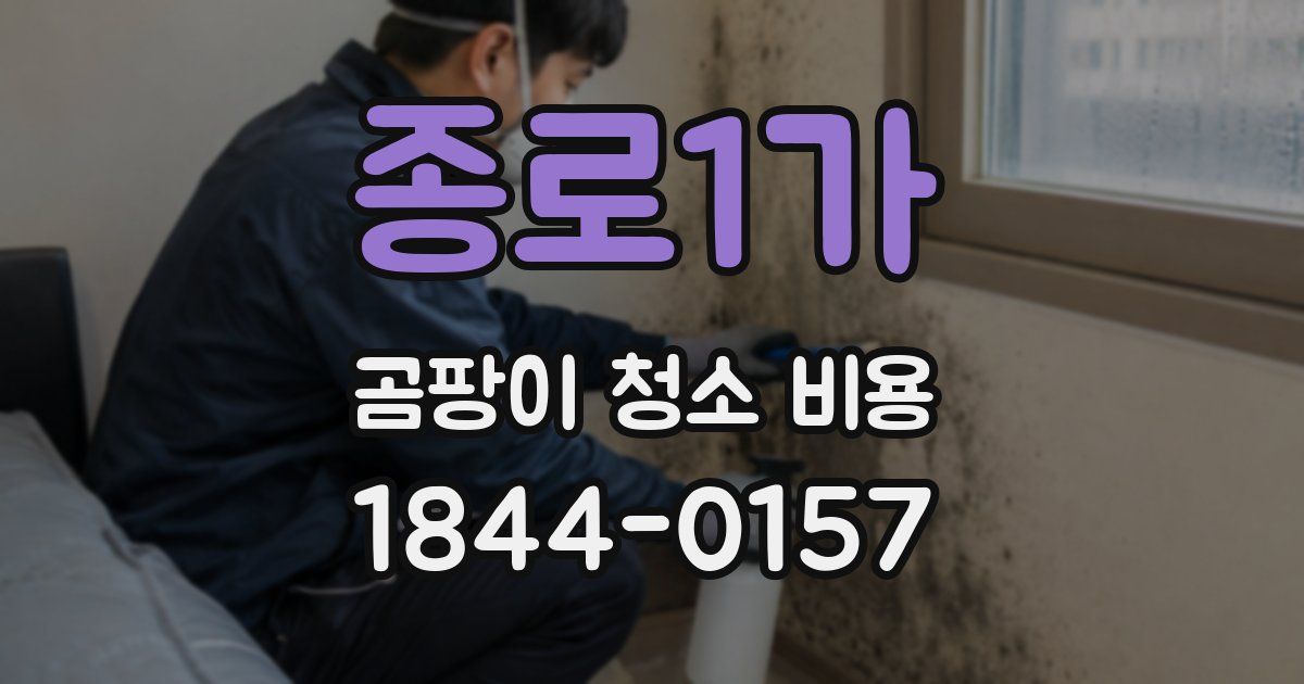 종로1가 곰팡이 청소 비용