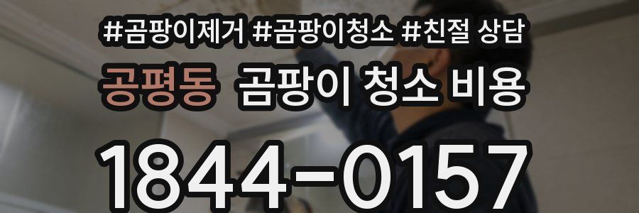 공평동 곰팡이 청소 비용