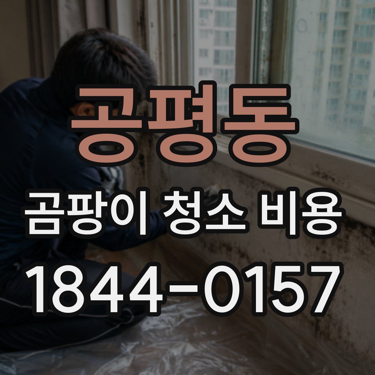 공평동 곰팡이 청소 비용
