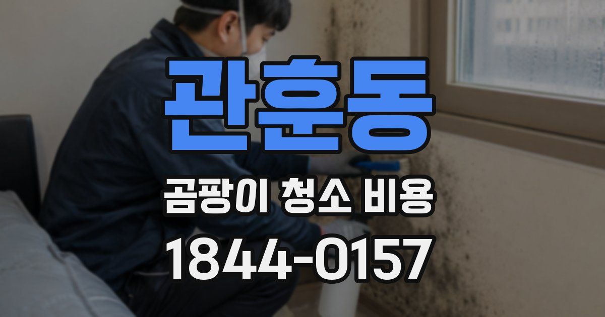 관훈동 곰팡이 청소 비용