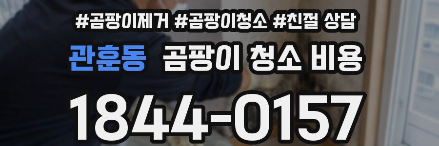 관훈동 곰팡이 청소 비용
