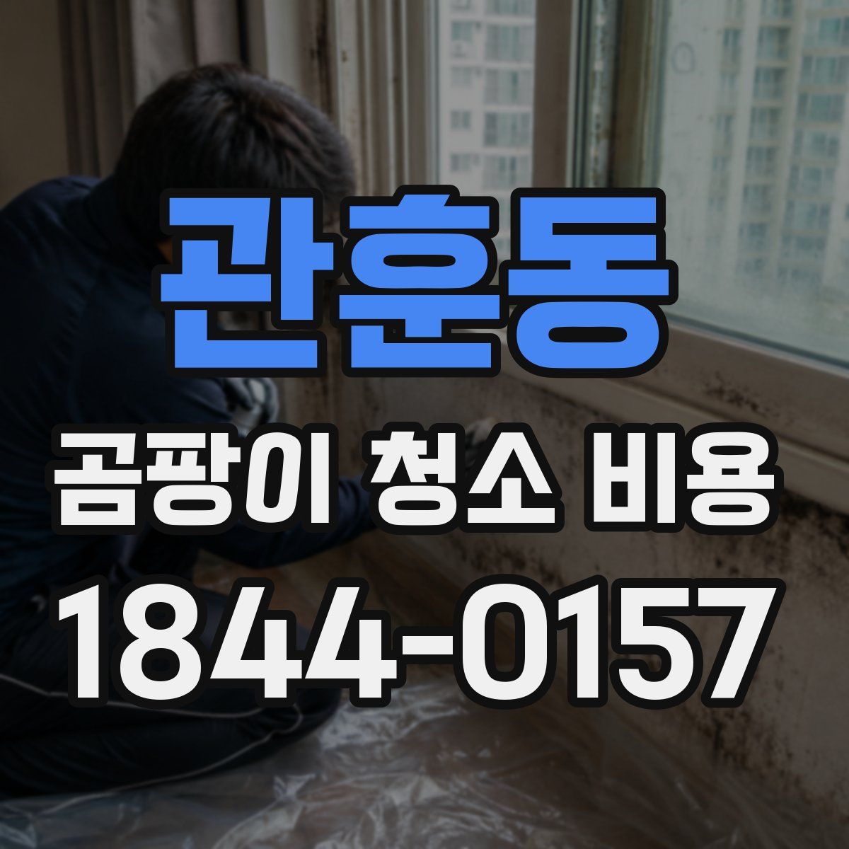 관훈동 곰팡이 청소 비용