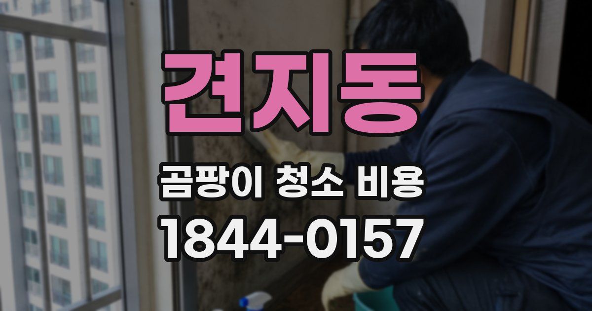 견지동 곰팡이 청소 비용