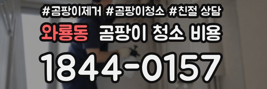 와룡동 곰팡이 청소 비용