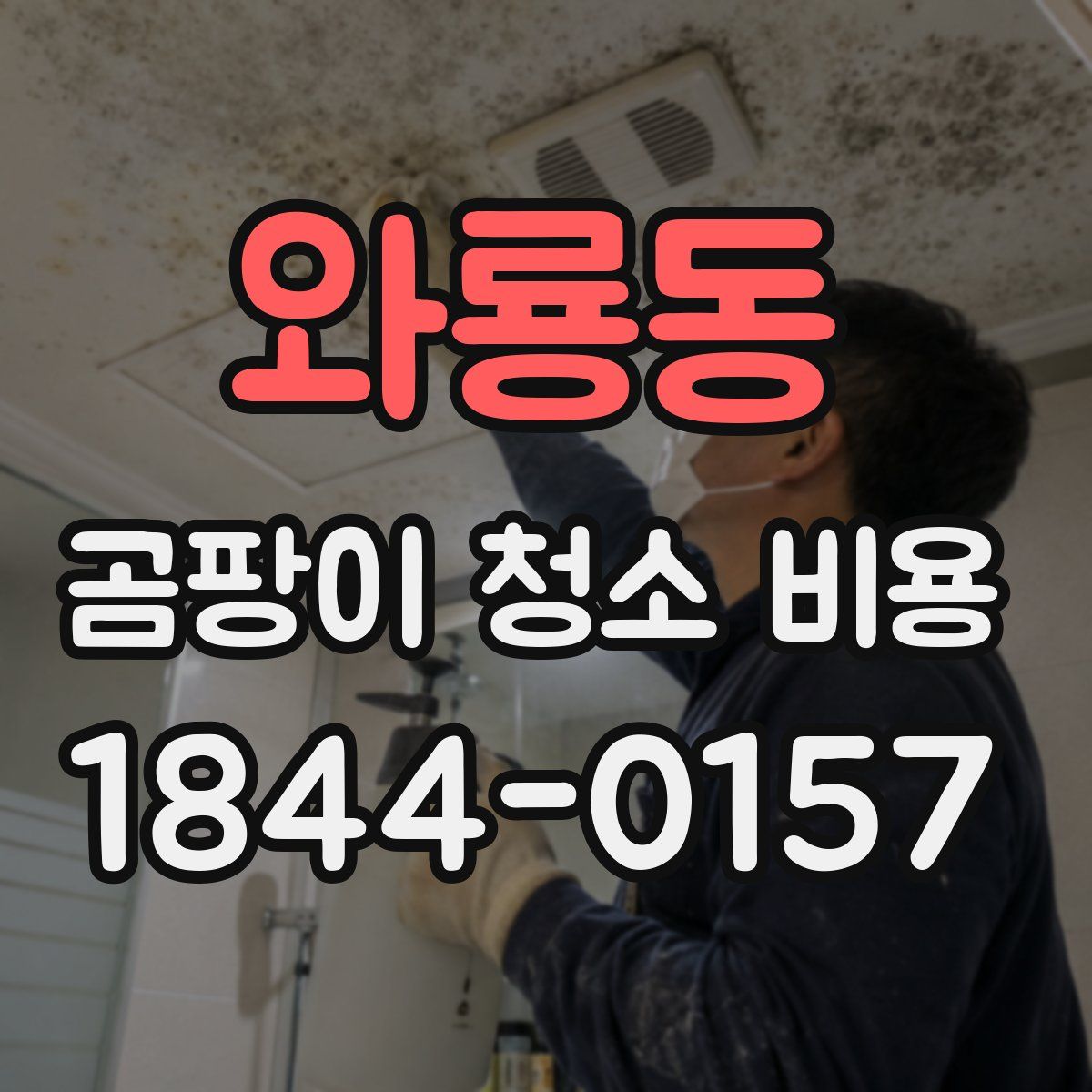 와룡동 곰팡이 청소 비용