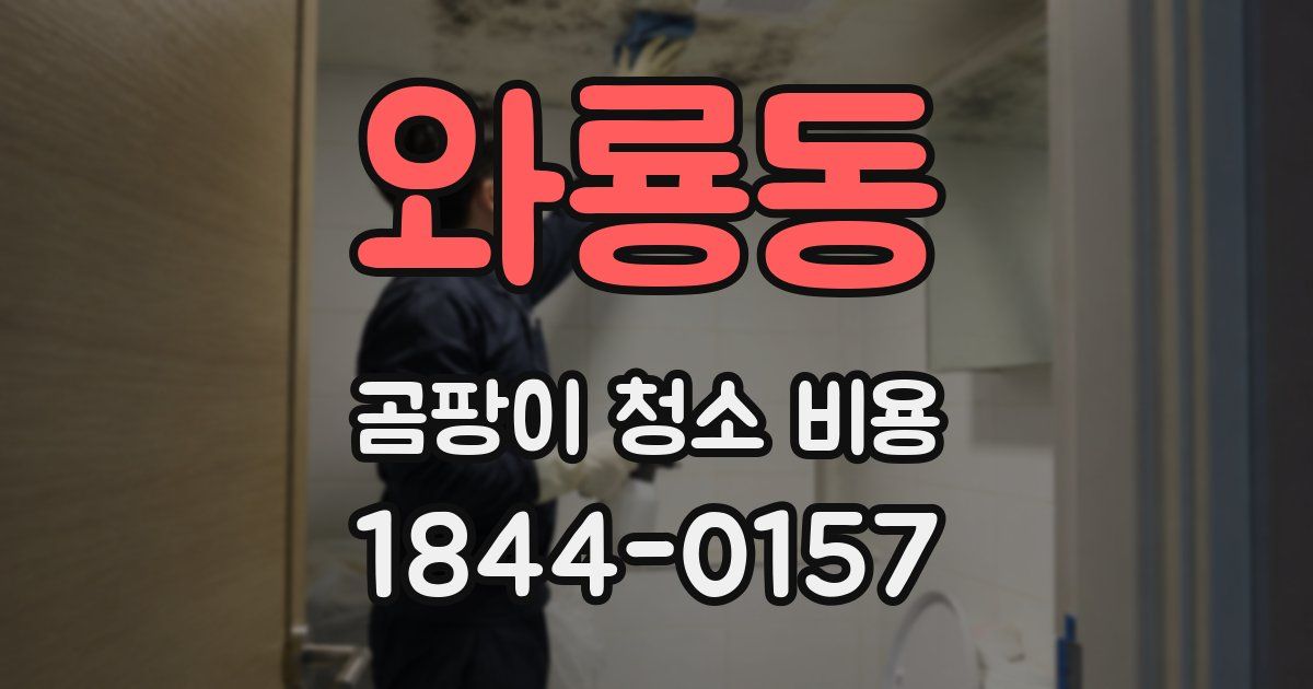 와룡동 곰팡이 청소 비용