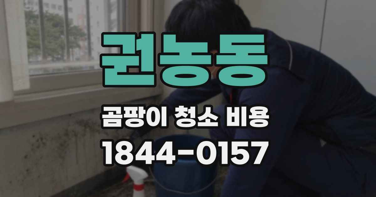 권농동 곰팡이 청소 비용