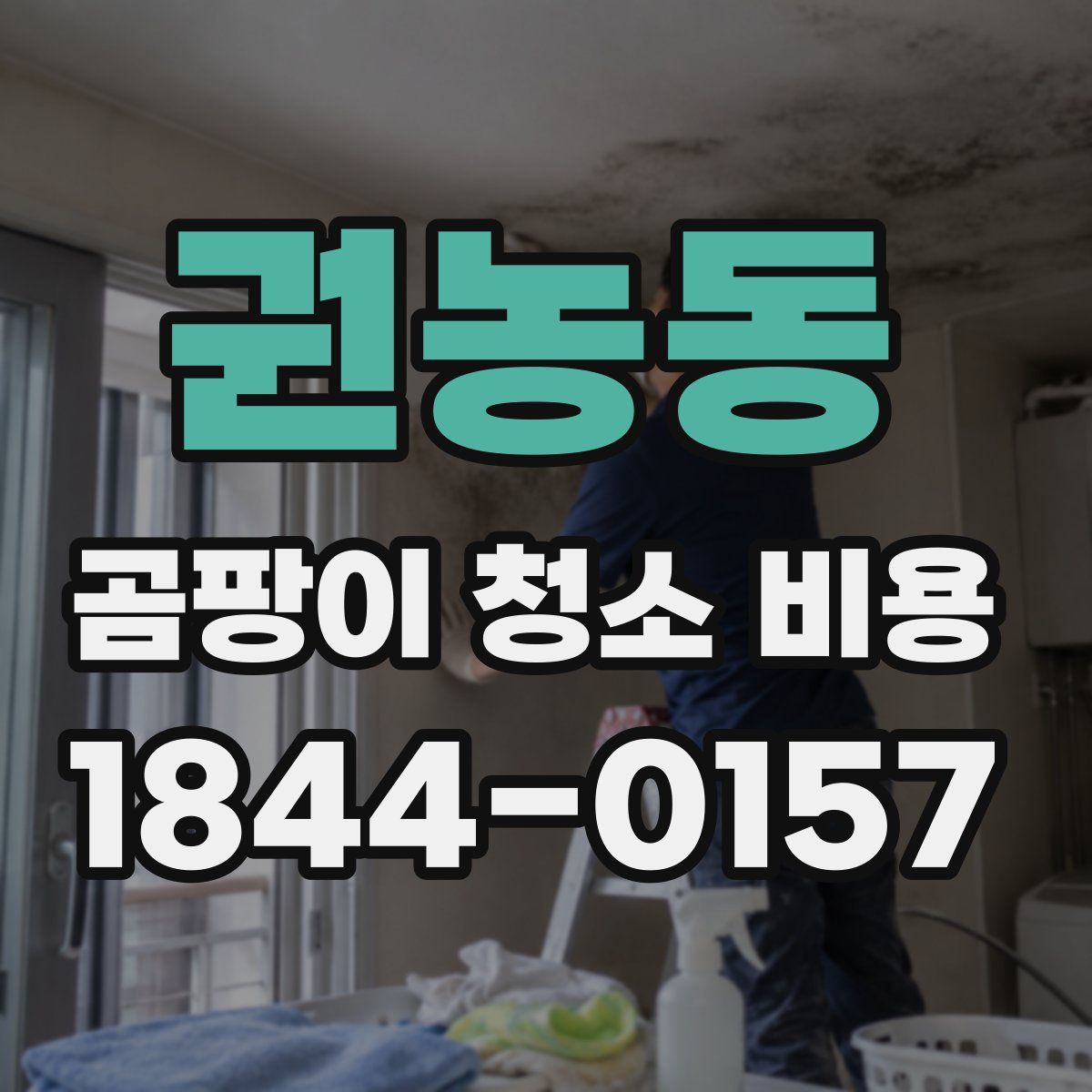 권농동 곰팡이 청소 비용