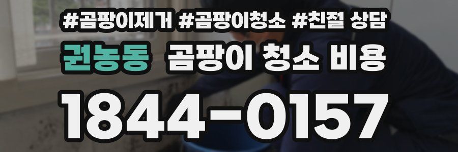 권농동 곰팡이 청소 비용