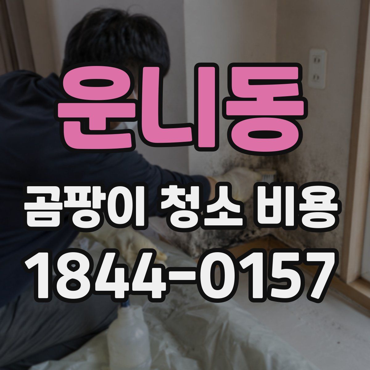 운니동 곰팡이 청소 비용