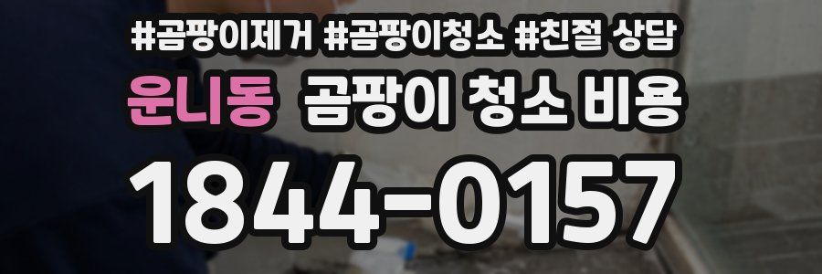 운니동 곰팡이 청소 비용