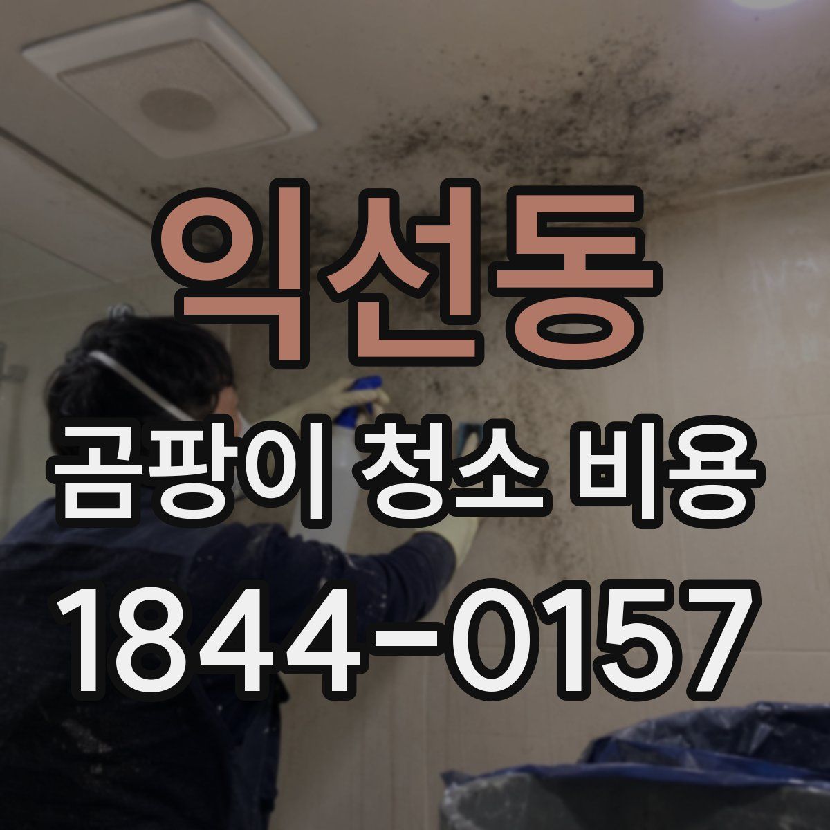 익선동 곰팡이 청소 비용