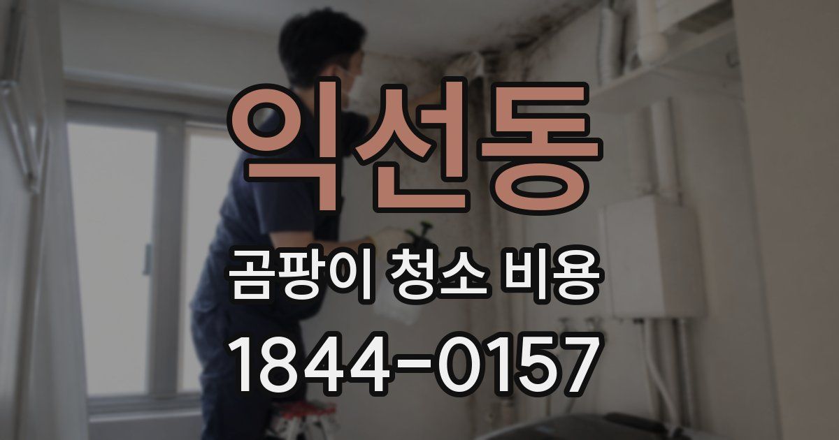 익선동 곰팡이 청소 비용