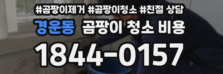 경운동 곰팡이 청소 비용