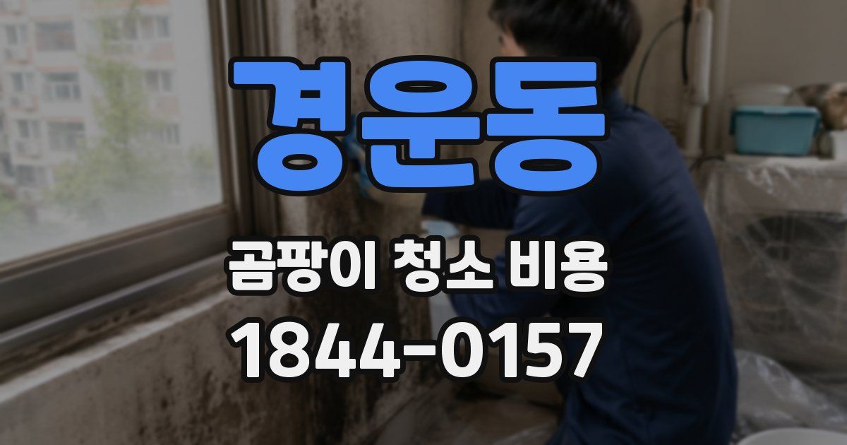 경운동 곰팡이 청소 비용