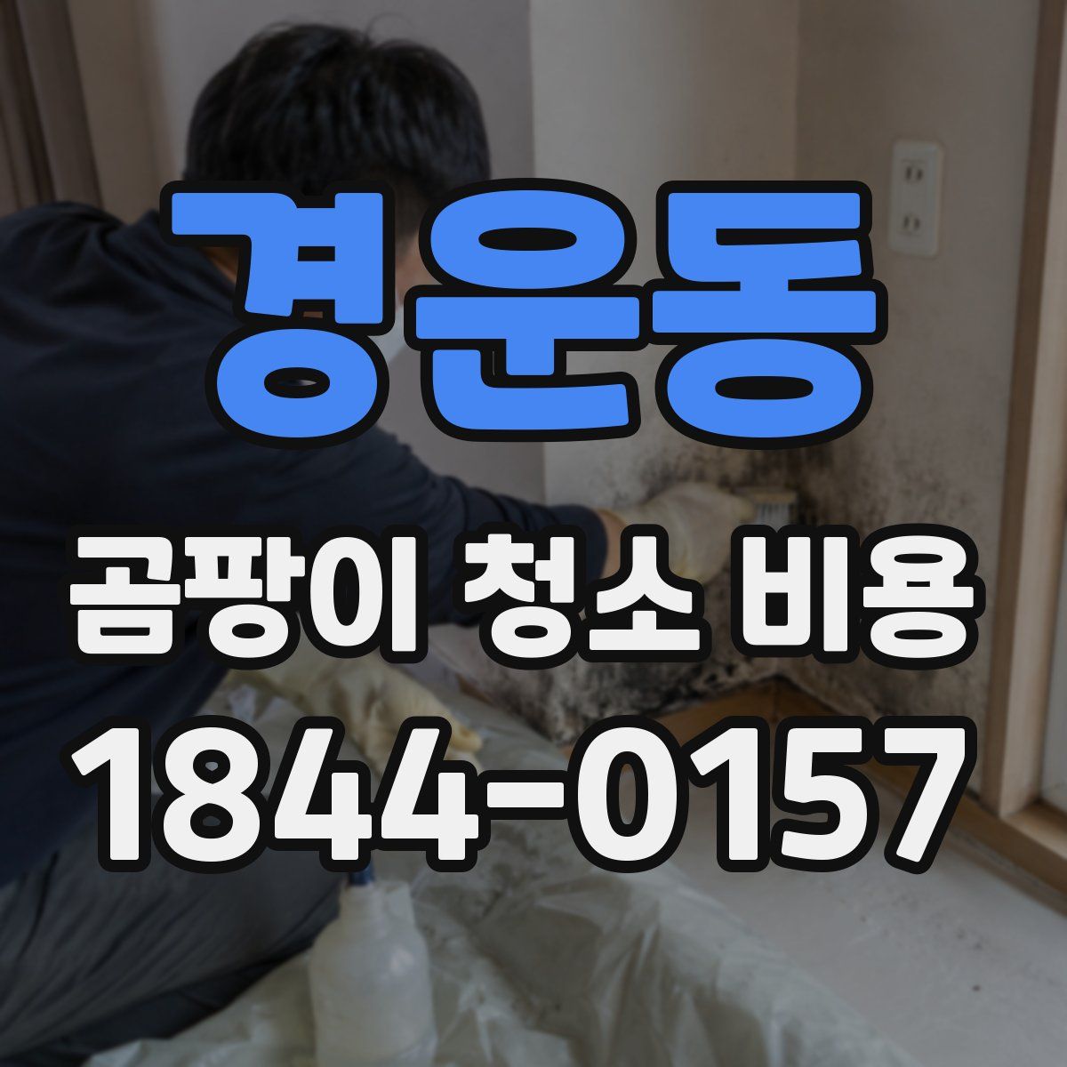 경운동 곰팡이 청소 비용