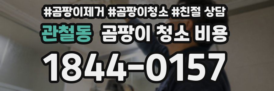 관철동 곰팡이 청소 비용