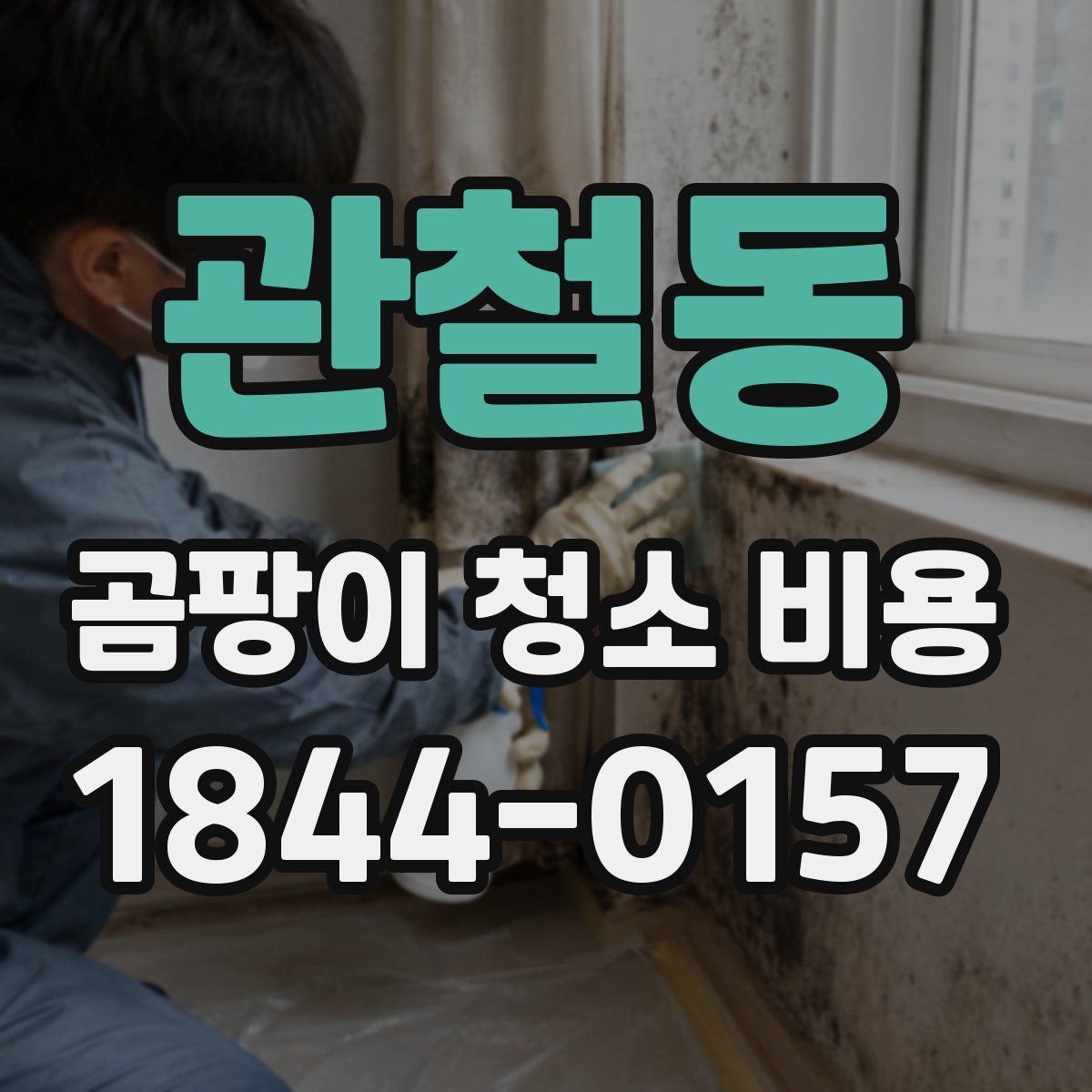 관철동 곰팡이 청소 비용