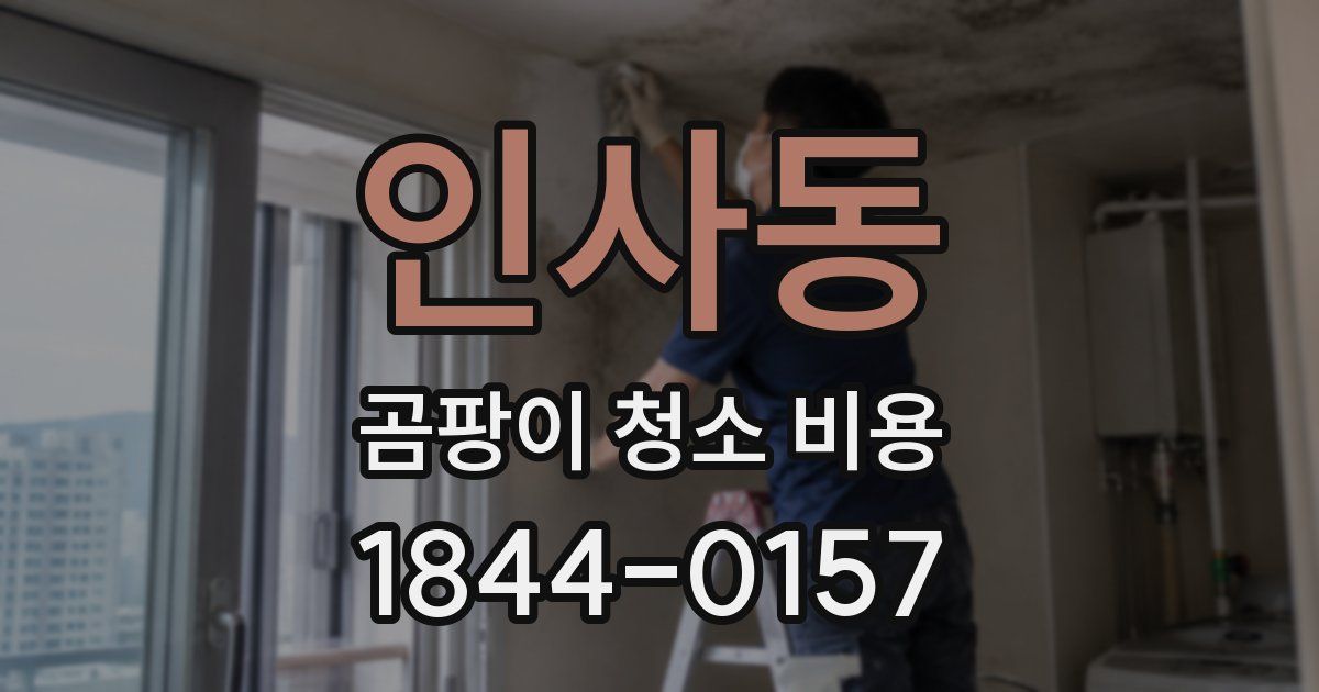 인사동 곰팡이 청소 비용