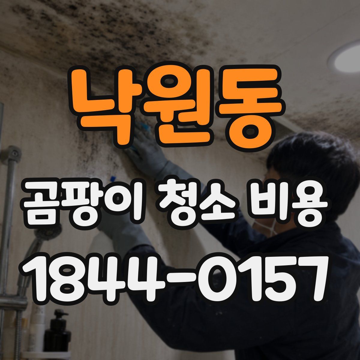 낙원동 곰팡이 청소 비용