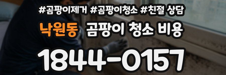 낙원동 곰팡이 청소 비용