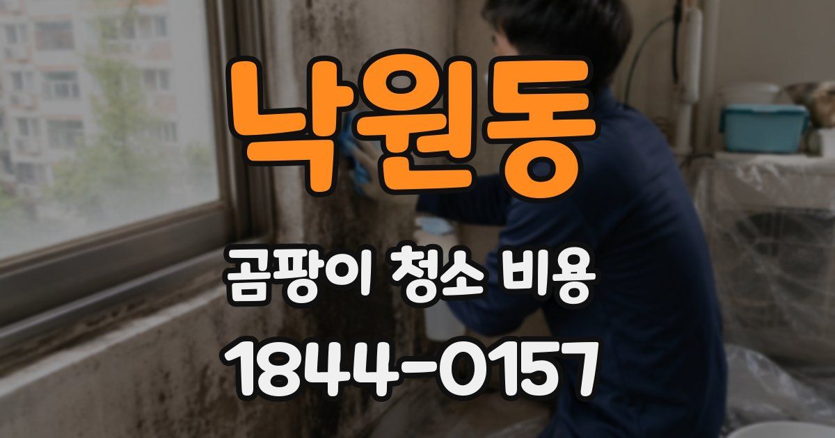 낙원동 곰팡이 청소 비용