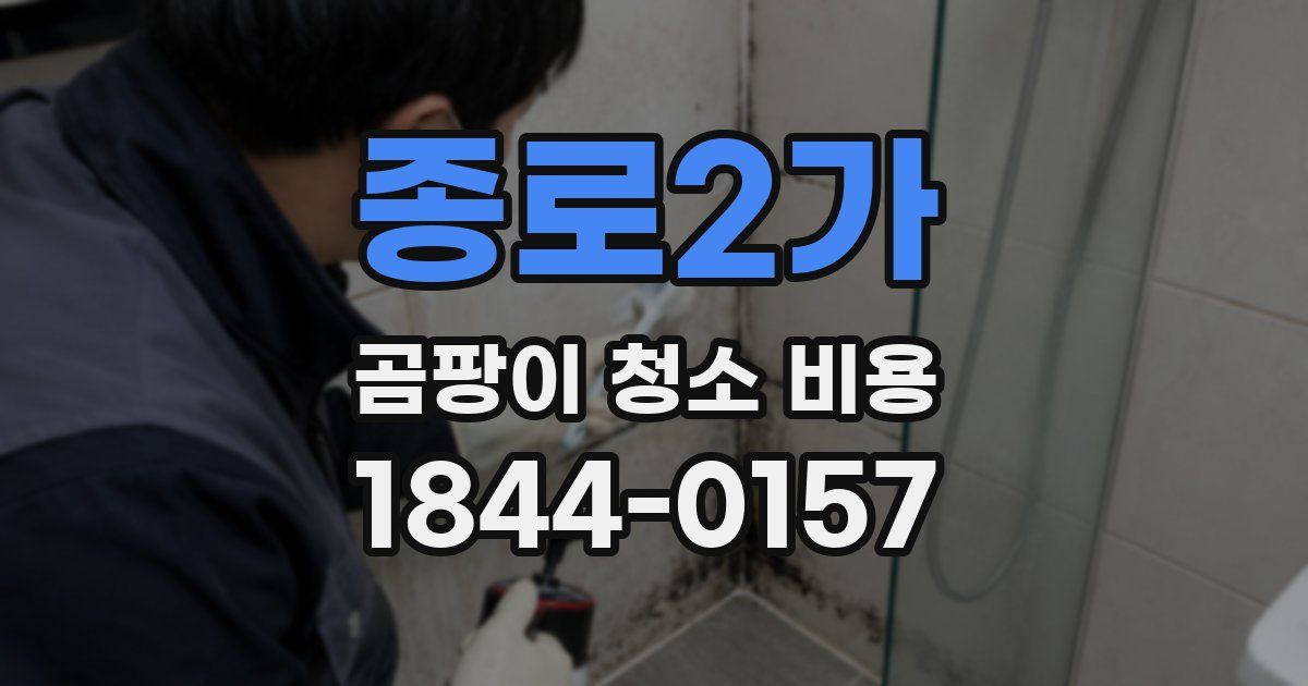 종로2가 곰팡이 청소 비용
