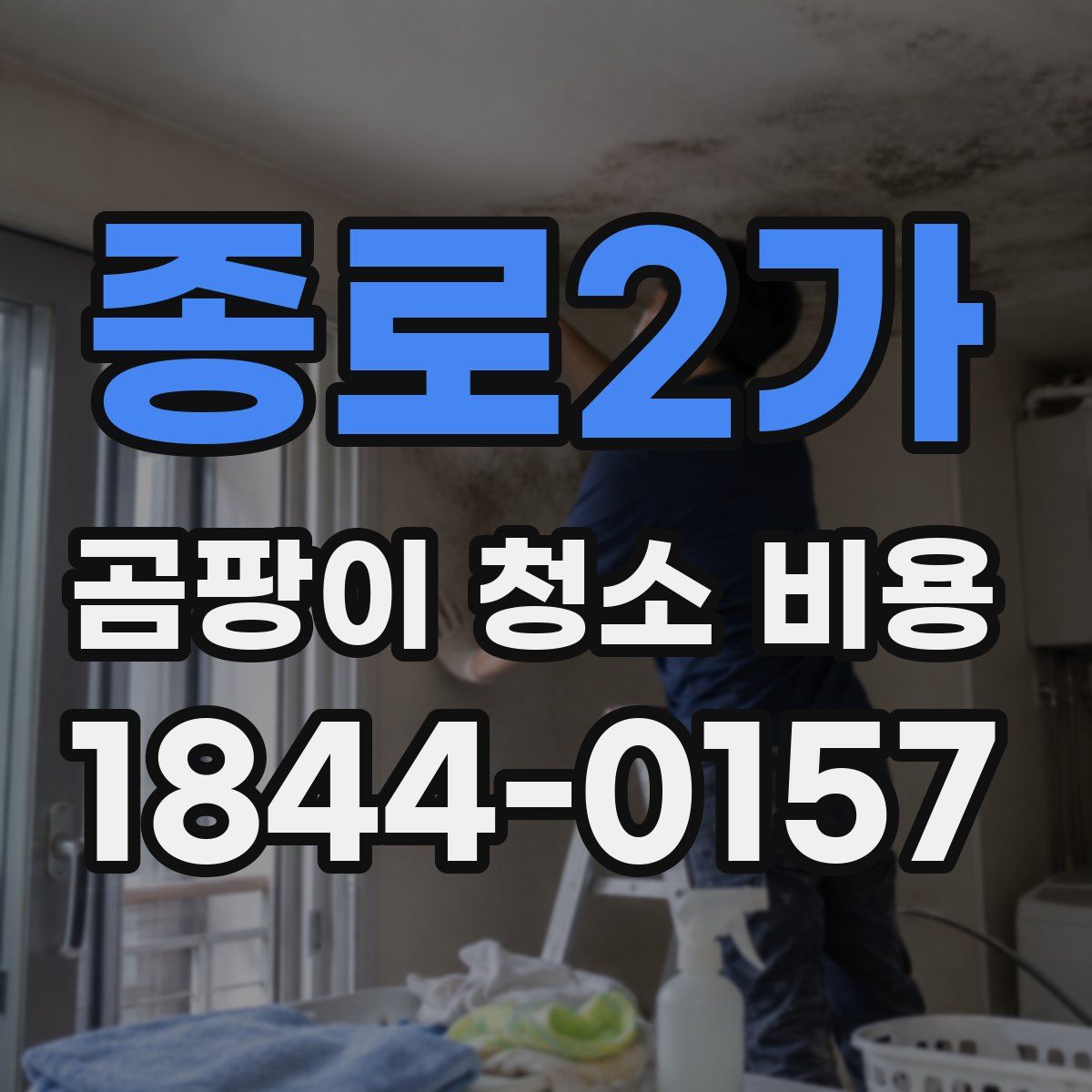 종로2가 곰팡이 청소 비용