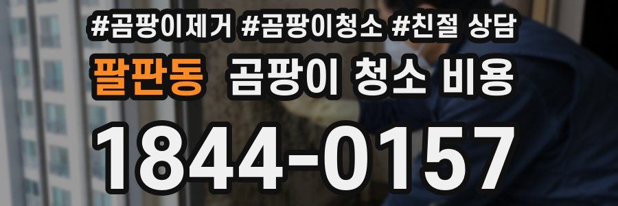 팔판동 곰팡이 청소 비용