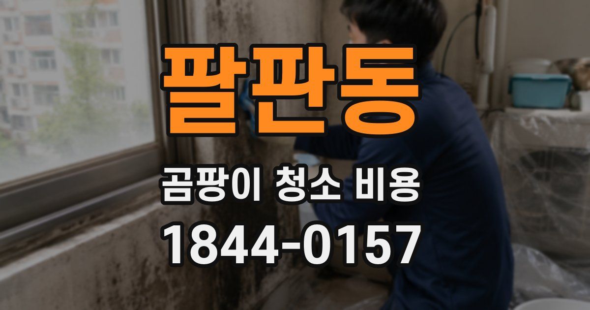 팔판동 곰팡이 청소 비용