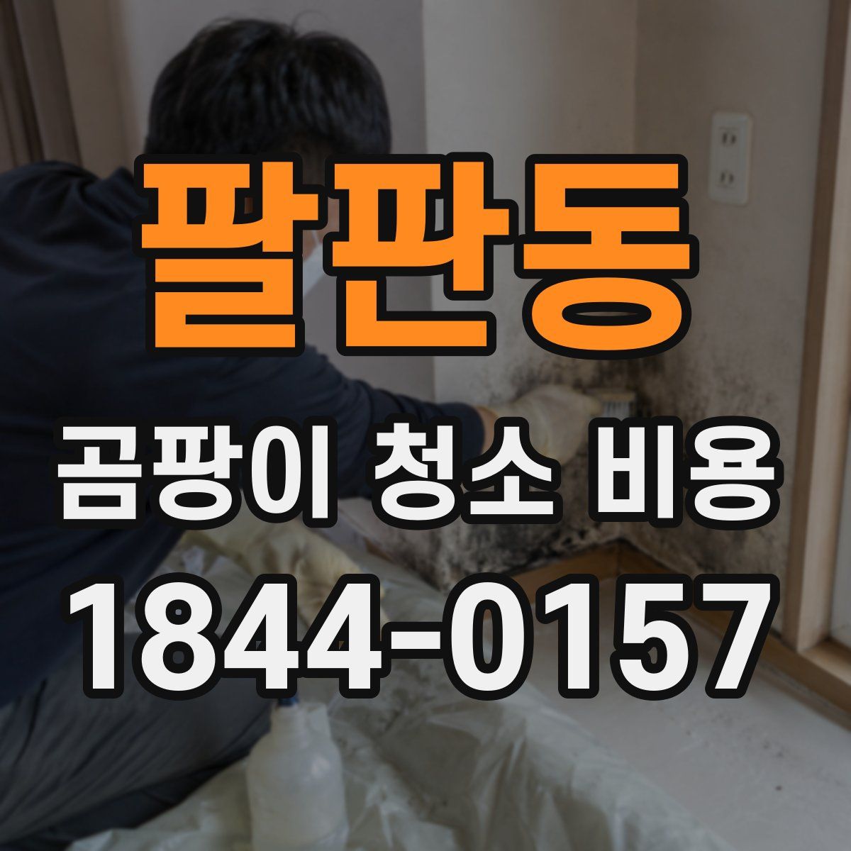 팔판동 곰팡이 청소 비용