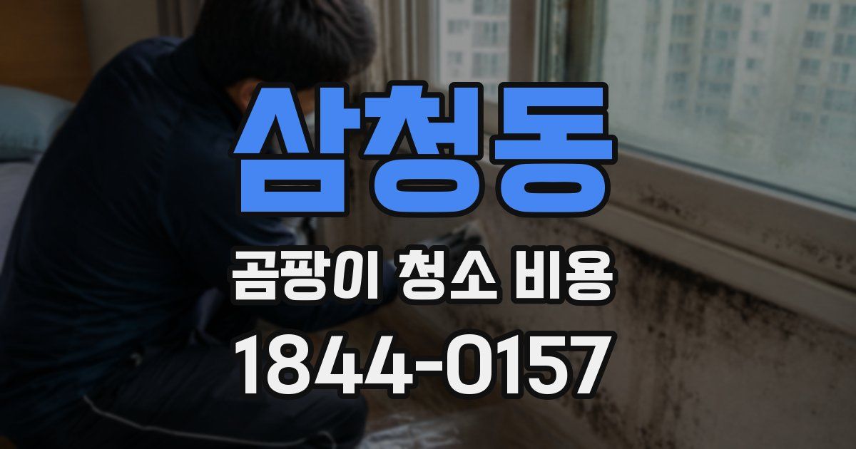 삼청동 곰팡이 청소 비용