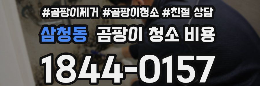 삼청동 곰팡이 청소 비용