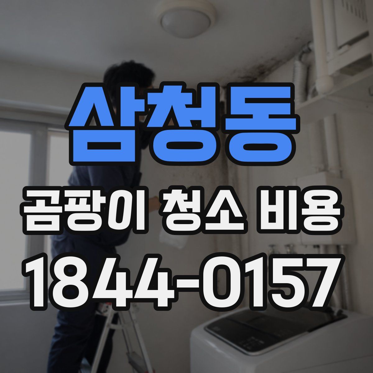 삼청동 곰팡이 청소 비용