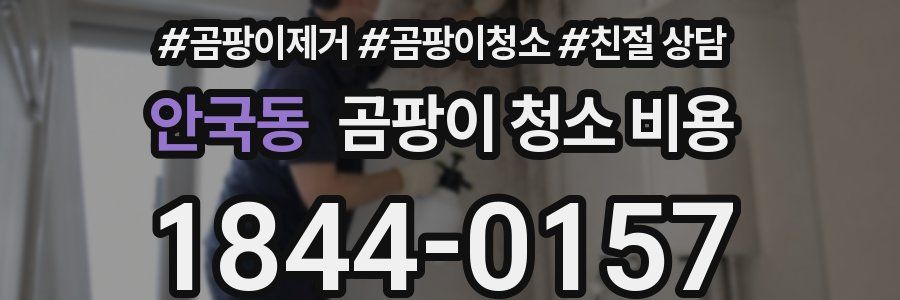 안국동 곰팡이 청소 비용