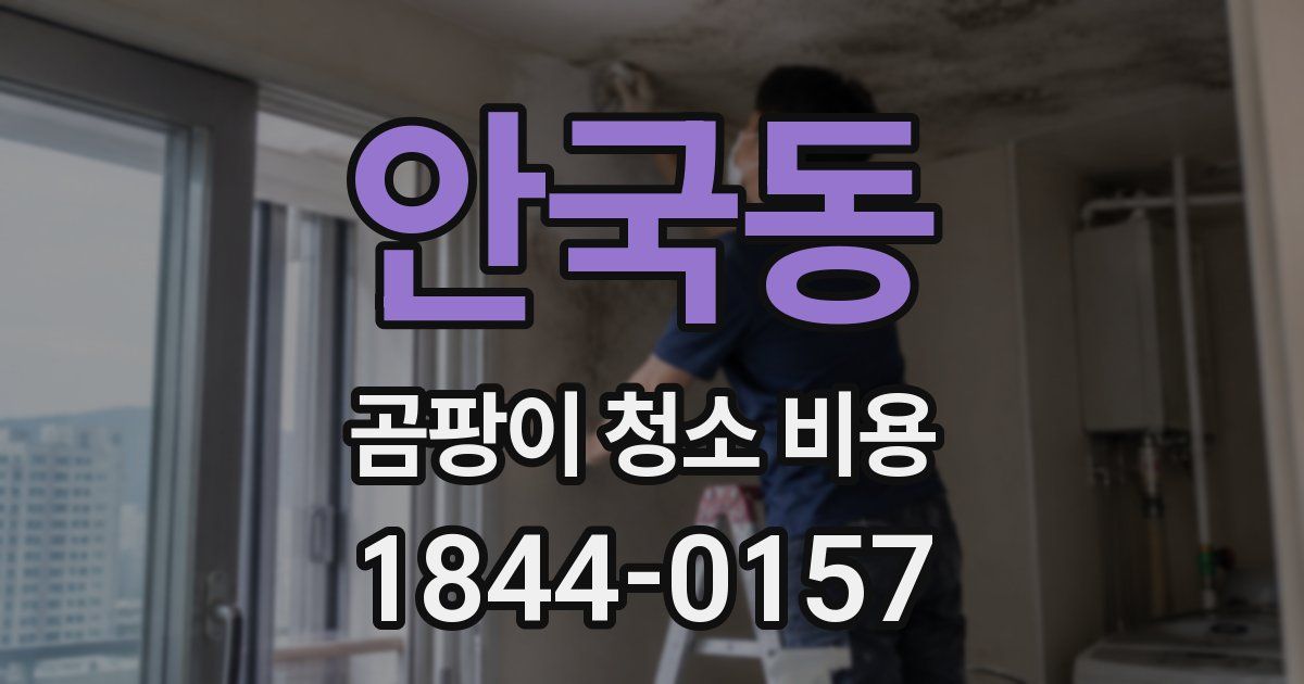 안국동 곰팡이 청소 비용