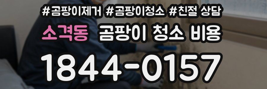 소격동 곰팡이 청소 비용