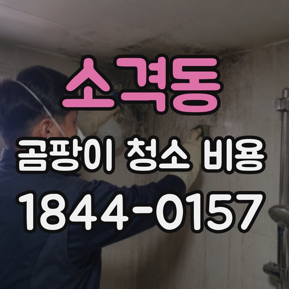 소격동 곰팡이 청소 비용