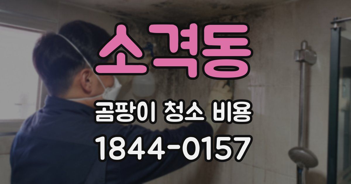 소격동 곰팡이 청소 비용