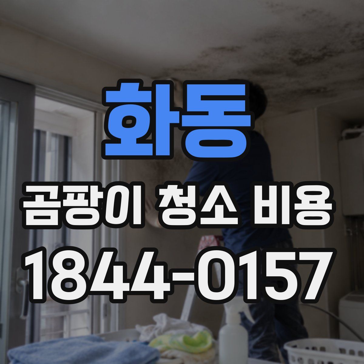 화동 곰팡이 청소 비용