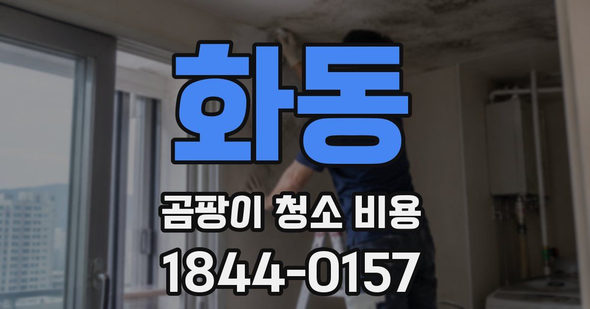 화동 곰팡이 청소 비용