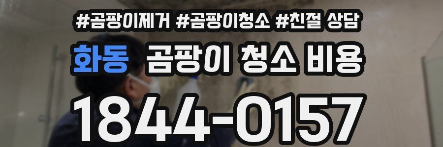 화동 곰팡이 청소 비용