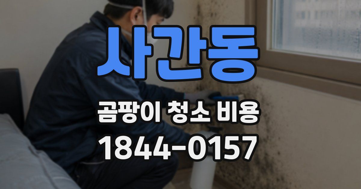사간동 곰팡이 청소 비용