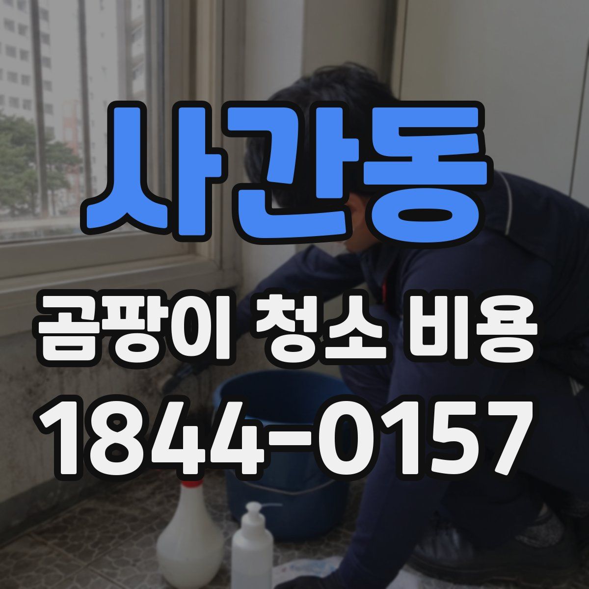 사간동 곰팡이 청소 비용