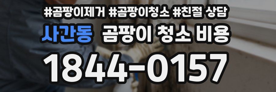 사간동 곰팡이 청소 비용